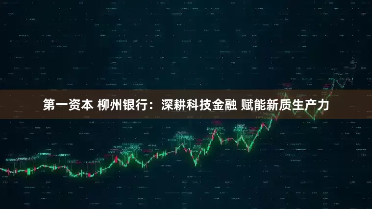 第一资本 柳州银行：深耕科技金融 赋能新质生产力